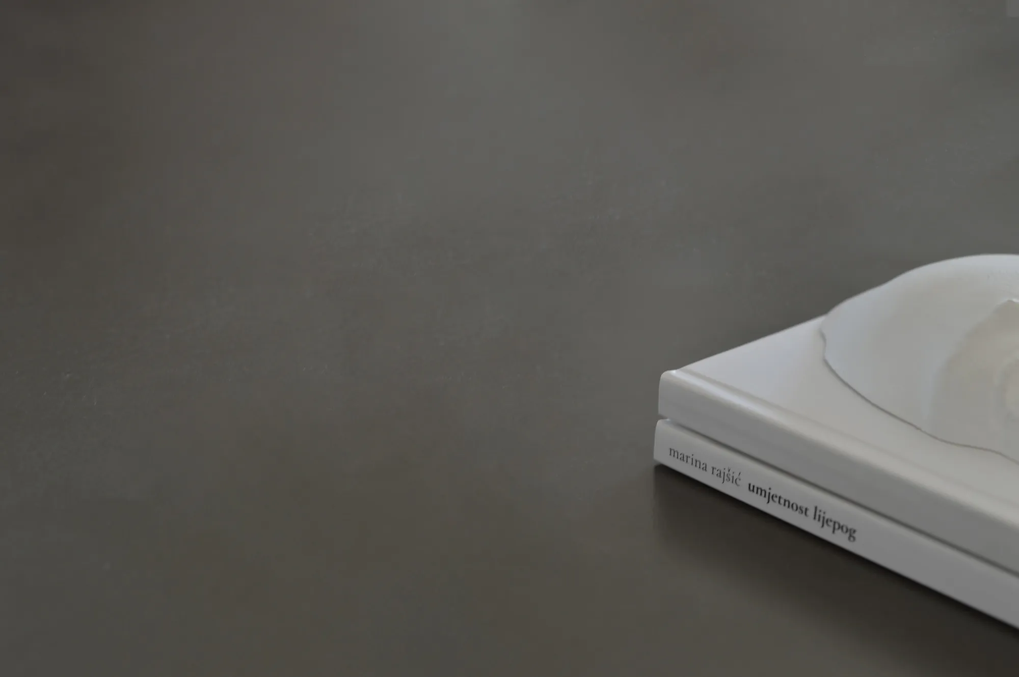 The 3D-printed model of female face object resting on copy of the book, as 3D book cover, spine reading "marina rajšić — umjetnost lijepog".