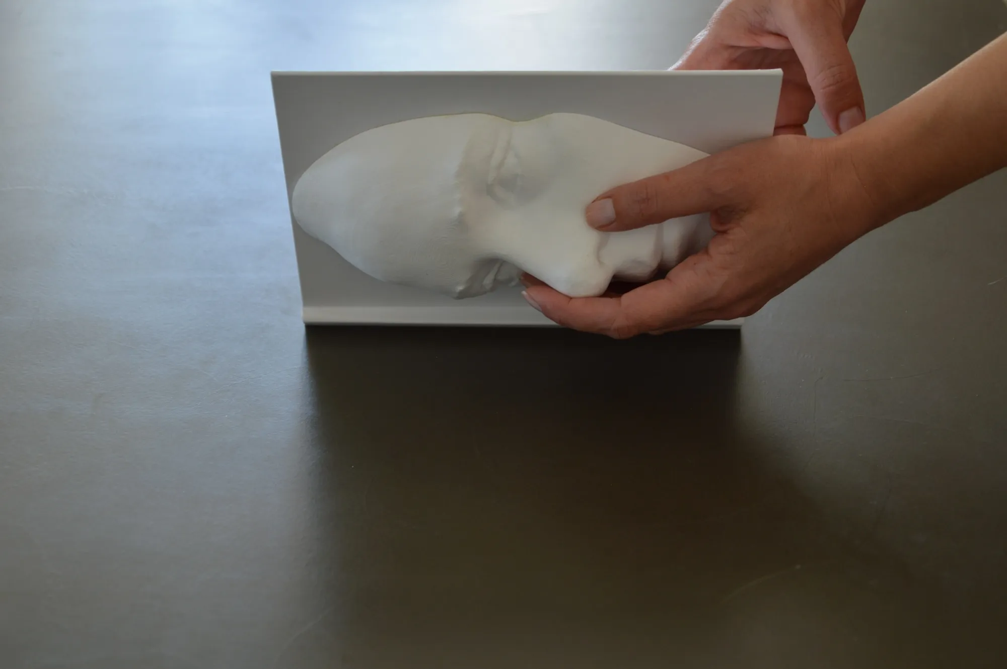 Close-up of the white 3D-printed face resting on its base as book cover.