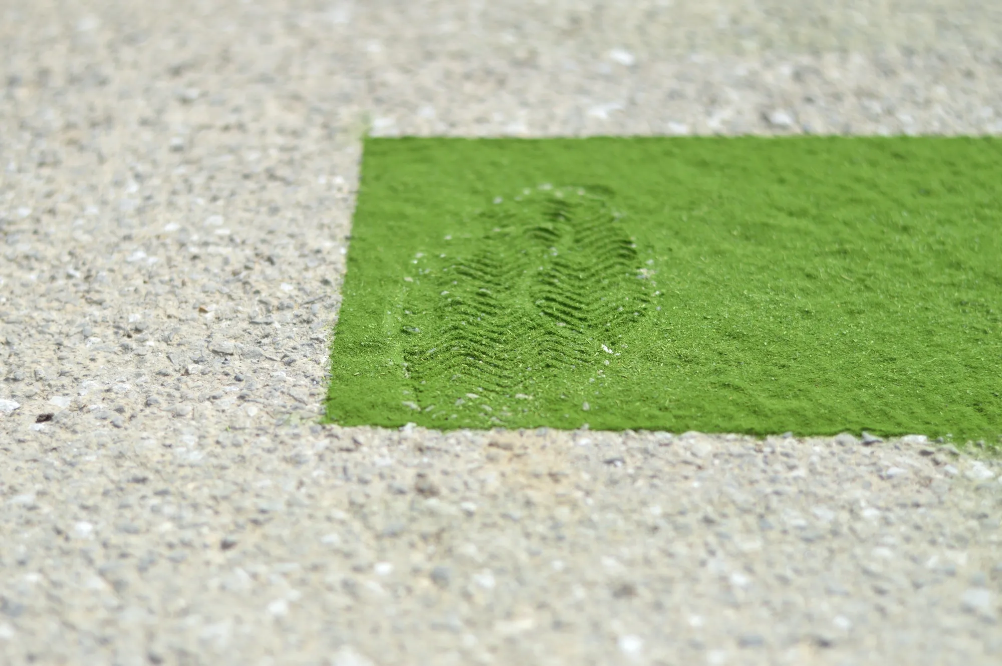 Close-up of a shoe print pressed into a patch of green linden-leaf powder on a paved sidewalk.