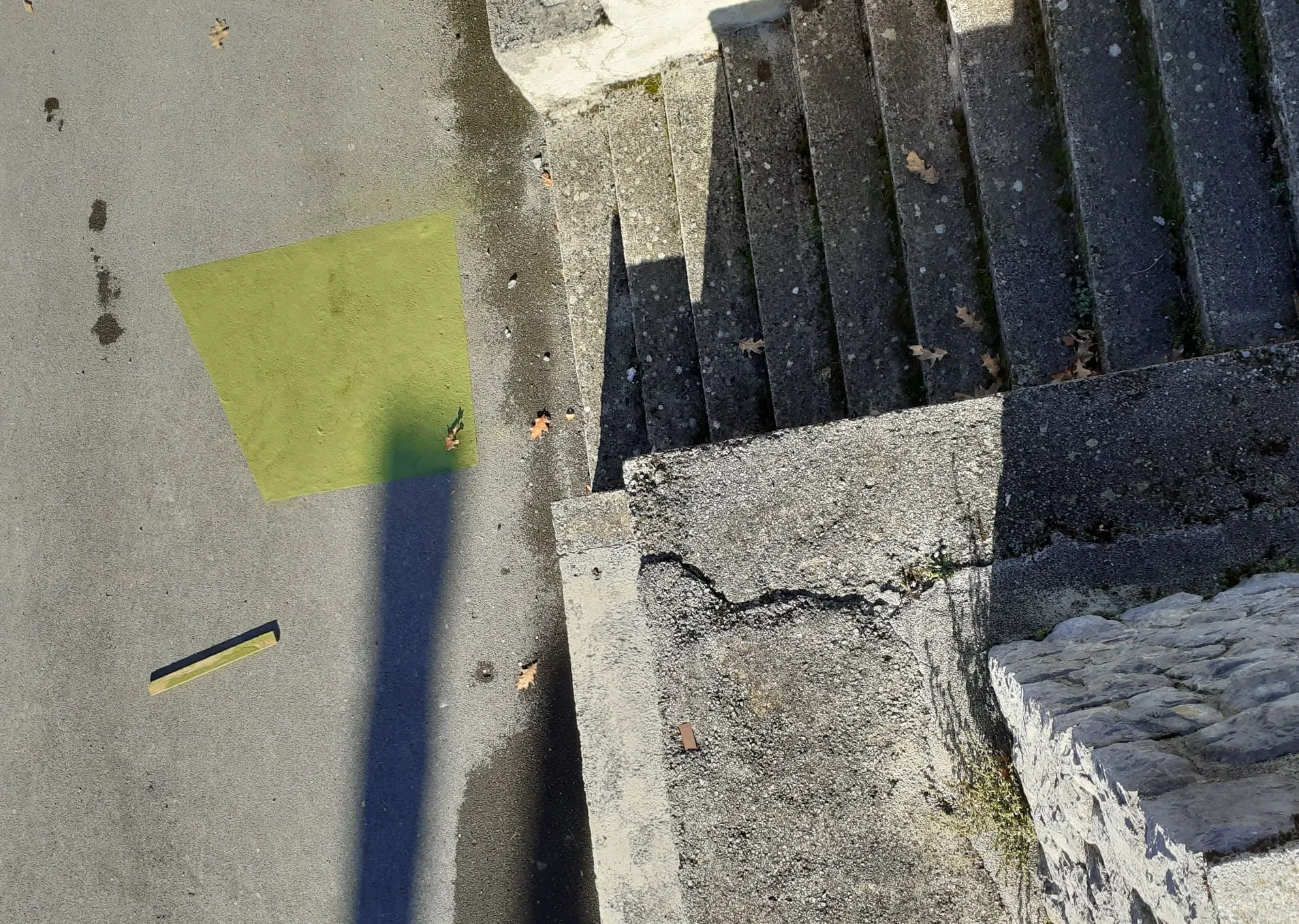 An overhead view of a patch of green linden-leaf powder on a road beside a flight of weathered stone steps.