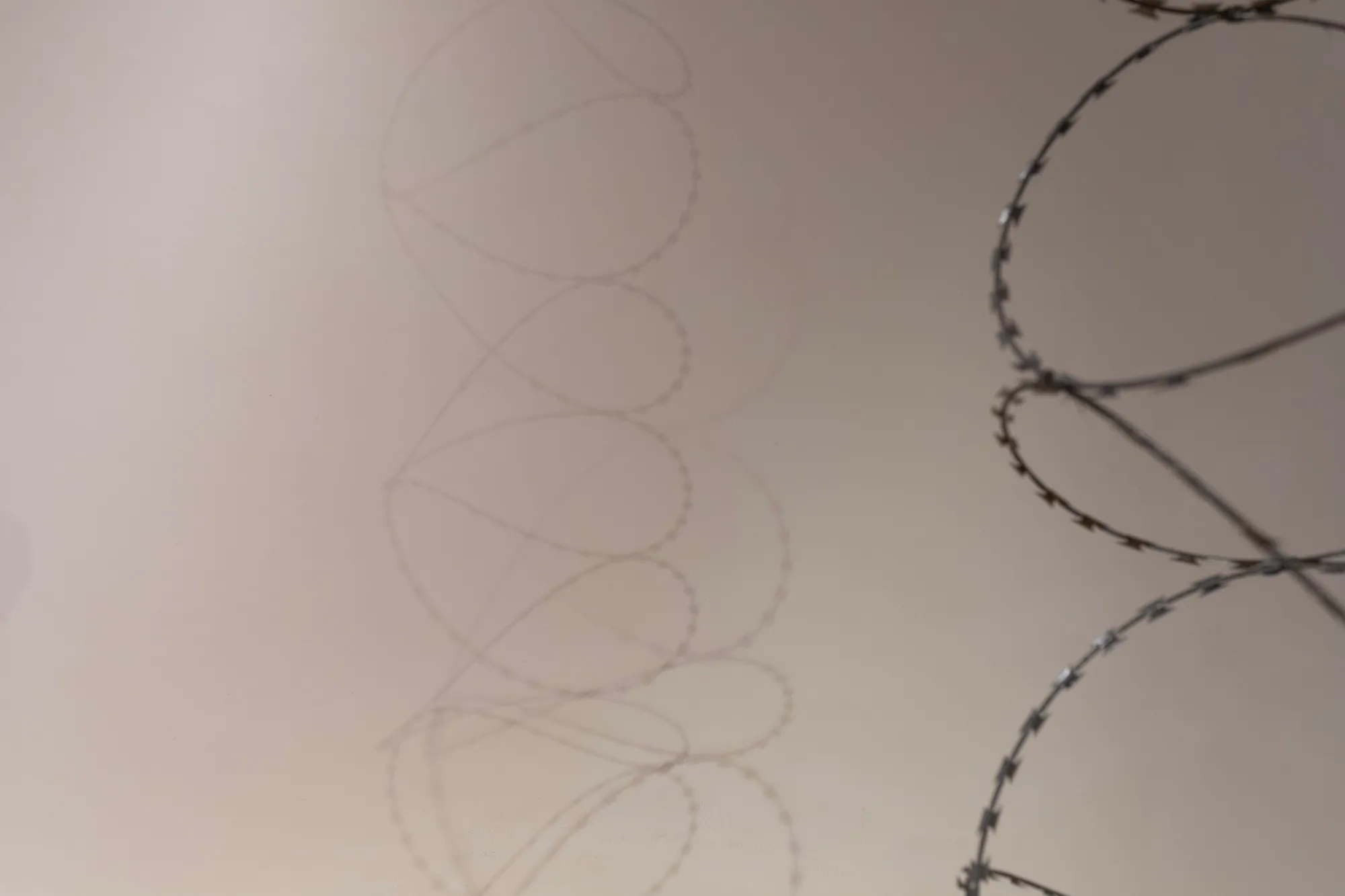 Close-up of looping razor wire against a gallery wall, its shadow cast in looping lines behind it.