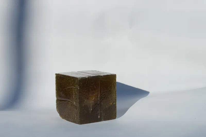Paused particles of Lipa (linden)