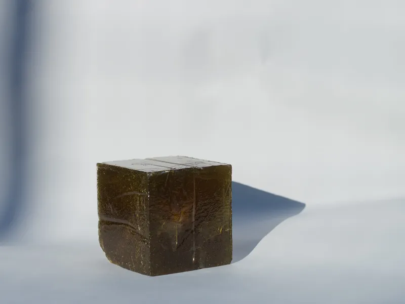 Paused particles of Lipa (linden)