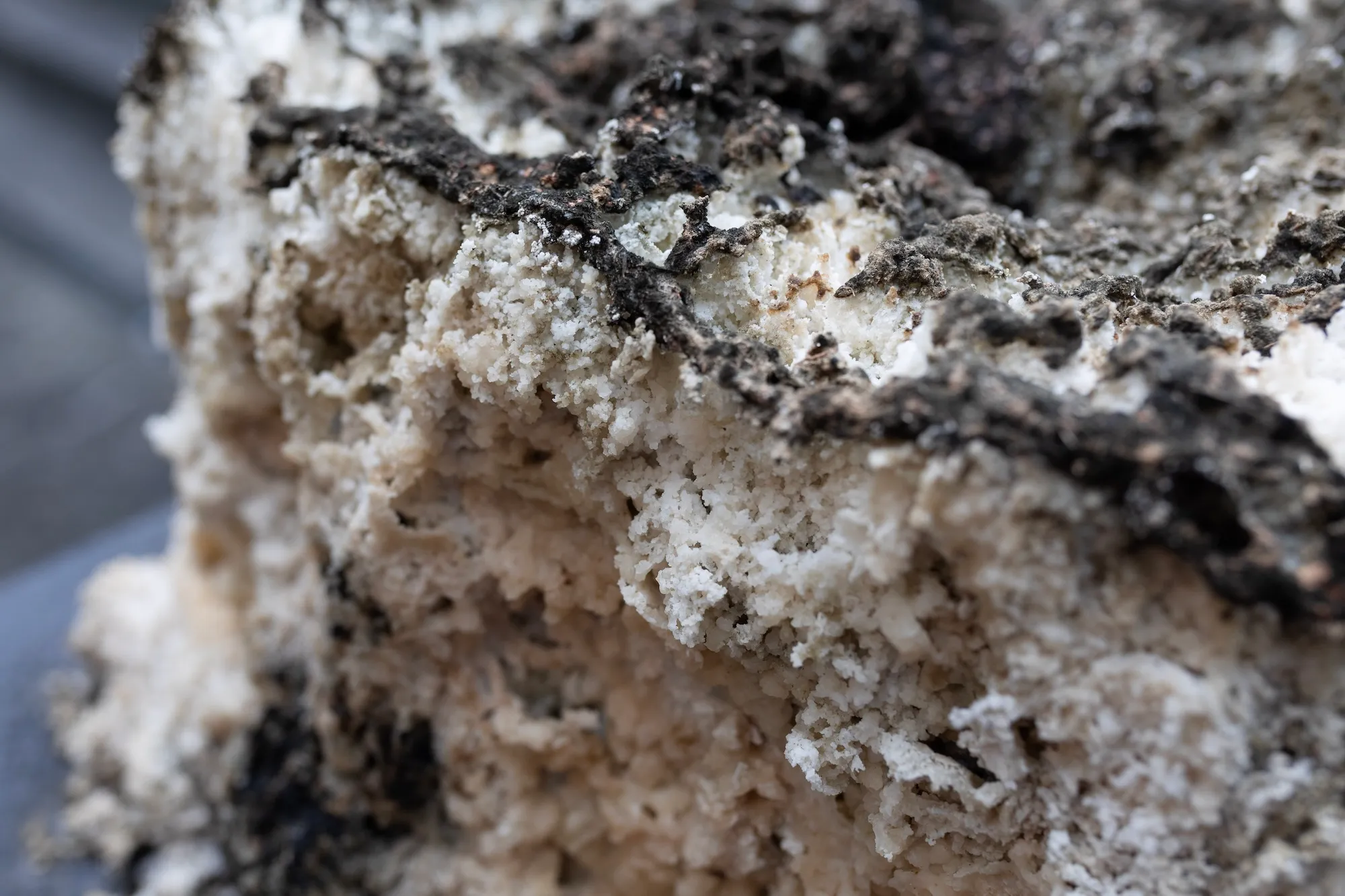Extreme close-up of the sculpture's dark, charred crust breaking over its pale granular interior.
