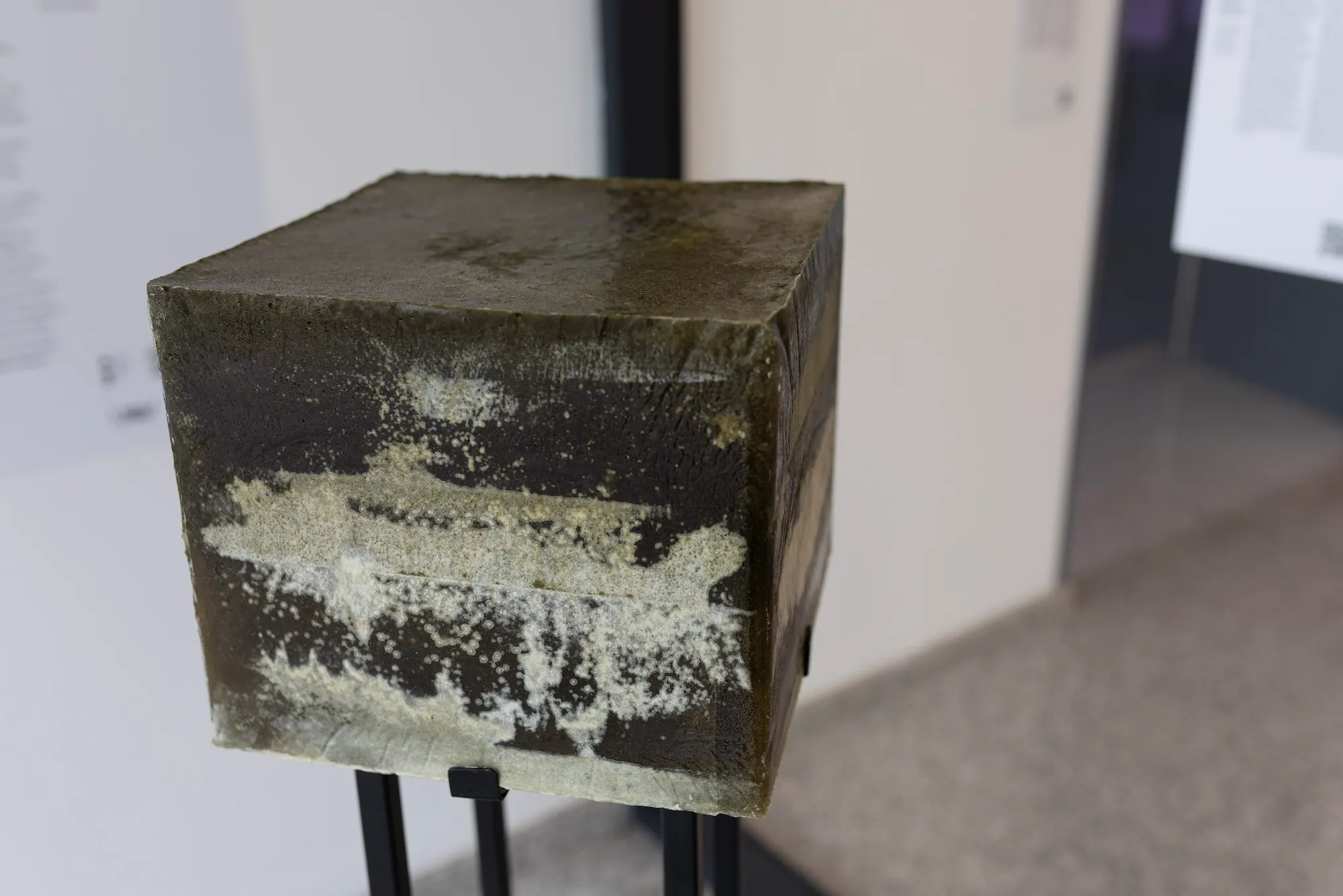 Angled close-up of the sculpture's weathered surface, showing dark and cream-colored patches.