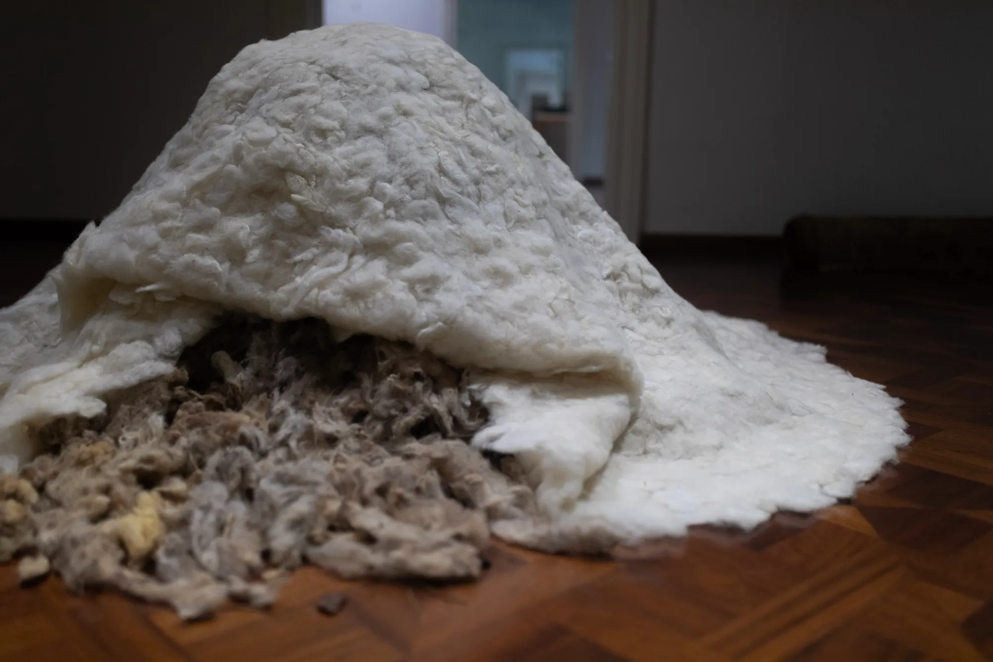 Close-up of the felted wool mound with its white top layer pulled back, revealing raw, unprocessed wool underneath.
