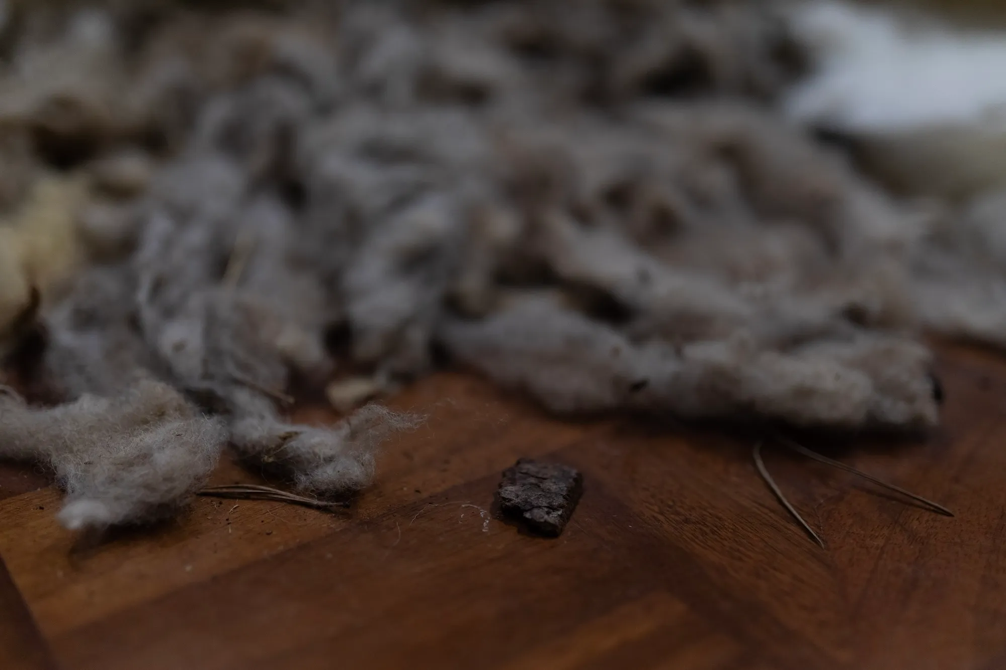 Extreme close-up of loose, dirty raw wool and pine needles scattered on the wooden gallery floor.