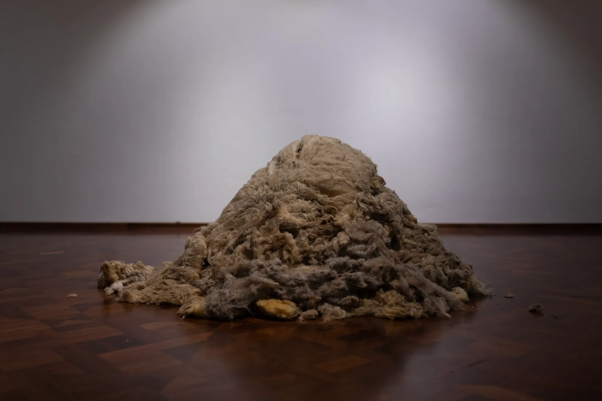 A mound of raw, unprocessed grey wool resting on the gallery floor against a plain wall.